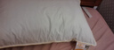 舒飘儿纯棉超柔软低枕头单人家用可水洗枕头芯单个星级酒店枕芯 中低枕 实拍图