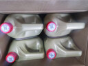 嘉实多（Castrol）极护智E版 全合成机油 汽机油润滑油 5W-30 SP/C2 4L 汽车保养 实拍图