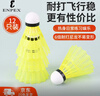 ENPEX 羽毛球12个装尼龙耐打青少年训练尼龙羽毛球塑料胶练习羽球S16 实拍图
