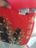 辽参大连有机冷冻海参3斤30-36只非即食京东自营独立包装礼盒装 实拍图