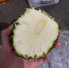 广东湛江徐闻菠萝 香水菠萝 热带水果 【活动期间合并发货】1个 净重1.3-2斤 实拍图