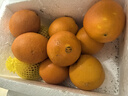 江西赣南早脐橙整箱当季新鲜早橙子榨汁水果礼盒皮薄多汁节日团购 【90%人选】净重9斤单个200g+ 实拍图