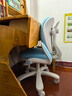享学儿童学习椅儿童座椅写字学习椅可调节升降追背正姿学生椅 XC501蓝 实拍图
