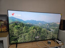 东芝电视小芝士65Z600QF PRO 65英寸 音画双芯Mini LED 火箭炮音响 300Hz 4K高清智能 家电国家补贴 实拍图