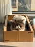 pidan猫抓板 纸盒款 瓦楞纸猫窝耐磨猫玩具 实拍图
