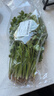 带根香菜100g 实拍图