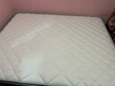 东宝床垫（DONBLE） 弹簧床垫乳胶床垫环保椰棕床垫 软硬两用席梦思床垫子 DS101 经典款  1500*2000*240mm 实拍图