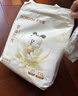 巴布豆（BOBDOG）雪域极光纸尿裤XL22片(12-17KG)婴儿尿不湿【品牌直供 安心品质】 实拍图