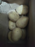 播州鲜新鲜土豆贵州特产高山马铃薯土豆黄皮黄心土豆农家自种蔬菜 黄皮土豆2斤 （净重） 实拍图