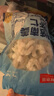 鲜京采 精选41/50南美白虾仁 无冰净重2斤 90-110只 源头直发 实拍图