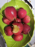映棠 东北鸡心果5斤【顺丰快递—多地次日达】海棠果玫瑰小苹果礼盒装 3斤大果【人工精选】 现摘现发 实拍图