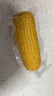 京鲜生 东北黄玉米260g*10棒 真空包装黏玉米棒粘玉米 源头直发 实拍图