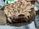 产地直发云南小黄姜新鲜生姜黄姜调味料新鲜蔬菜生鲜 3斤 装 实拍图