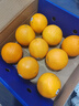新奇士（Sunkist）澳洲黑标晚脐橙 4斤礼盒装 单果220g+ 新鲜水果礼盒 实拍图