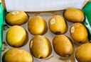 佳沛（zespri）新西兰  阳光金奇异果10粒礼盒巨大果单果约144-175g 水果 猕猴桃 实拍图