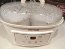 天际电炖锅 电炖盅 隔水炖锅 煲汤锅炖汤锅 婴儿辅食煮粥锅 养生燕窝炖盅 白瓷胆 DGGD23A183BBW 1.8L 实拍图