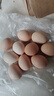 大码鸡蛋50g正负5g/枚散养土鸡蛋新鲜鸡蛋溏心蛋早餐必备京东包邮 10枚土鸡蛋50g 实拍图