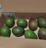 山姆大叔 金奖·哈斯牛油果云南孟连【闪送】当季鳄梨非即食新鲜水果礼盒 【80%选择】精品果丨约100-130g 6枚【热销* 超值推荐】普装 实拍图