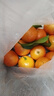壹萌果蔬临海涌泉蜜桔【顺丰-多地次日达】蜜桔橘子水果中秋礼盒礼品 【金奖-甄选果】丨果径55-65MM【黄金甜】 5斤装【超值推荐-80%选择】净4.5斤 实拍图
