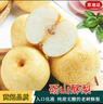 京地达梨砀山酥梨雪梨梨子香梨水果送礼净重8.8斤单果250g+源头直发 实拍图