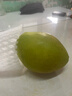 京喜加正宗河北香梨特级新鲜水果梨子当季脆甜多汁远达新1 香梨2粒 实拍图