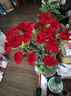 【康乃馨】鲜花云南基地直发女神节礼物花束多色花期长七夕送人3 红色康乃馨20枝 实拍图