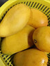 海南小台农芒果9斤新鲜现摘小台芒应当季时令热带水果整箱甜心芒 9斤净重8.5斤 【中果】实惠装 实拍图