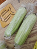 湖南本地白丝瓜白玉丝瓜清甜可口现摘现发新鲜蔬菜生鲜 白丝瓜 350g ±50g* 1箱 实拍图