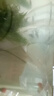 森悠（SARYOR）孔雀鱼纯种观赏鱼小型淡水好养热带鱼活体斑马金鱼凤尾鱼繁殖 孔雀鱼套餐1 实拍图