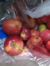 映棠 东北鸡心果5斤【顺丰快递—多地次日达】海棠果玫瑰小苹果礼盒装 3斤大果【人工精选】 现摘现发 实拍图