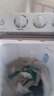 小鸭牌洗衣机半自动双桶双缸家用大容量小型租房宿舍波轮脱水甩干两用双杠省电老式强动力易操作以旧换新 18.5公斤【洗12+脱6.5｜强劲电机终身联保】 实拍图