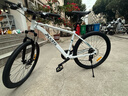 喜德盛（xds）山地自行车黑客350/旭日310 X6铝合金车架21速变速机械碟刹 黑客350白灰17寸（26款） 实拍图
