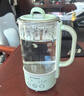 北鼎（Buydeem）多功能养生壶 迷你煮茶壶 家用保温壶 便携煮茶器 全玻璃恒温烧水壶 一体式花茶咖萃取壶 节日送礼 【一体式单壶】浅杉绿K32| 0.6L 实拍图