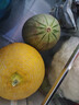 京鲜生 海南西州蜜哈密瓜 净重8-9斤 2-3粒精品   源头直发包邮 实拍图