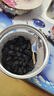 楼兰蜜语 黑桑葚干225g 罐装 蜜饯果干 桑果桑椹子 无沙黑桑椹干 实拍图