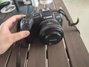 佳能（Canon）佳能RP 全画幅微单数码相机 4K高清视频直播 微单相机 变焦镜头 学生入门旅行家用  实拍图