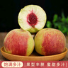 山东当季青州蜜桃新鲜脆甜可口毛桃冬桃产地直发-鲜集 青州蜜桃带箱5斤 实拍图
