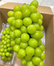 京觅国产晴王阳光葡萄 净重4.7斤 单粒10g+ 香印葡萄青提子 源头直发 实拍图