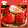 京鲜生 丹东99红颜奶油草莓 1斤装 单果22-30g 生鲜水果 实拍图