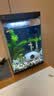 YEE不锈钢加热棒防爆自动恒温水族箱加热器鱼缸小型乌龟缸加温棒 【纯钢防爆】（50W）适合25-30cm鱼缸 实拍图