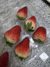 京鲜生 丹东99红颜奶油草莓 1斤装 单果22-30g 生鲜水果 实拍图