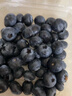 京鲜生 当季云南蓝莓 6盒中果14mm+ 125g/盒 生鲜水果 源头直发 包邮 实拍图