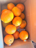 集南鲜 赣南脐橙 江西橙子新鲜现摘水果脐橙时令生鲜水果甜橙 水果礼盒 净重9斤 甄选橙 单果70-80mm 实拍图