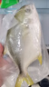 翔泰海南深海金鲳鱼700g 2条 火锅 生鲜鱼类 BAP认证 海鲜水产  实拍图