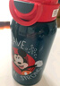 迪士尼（Disney）儿童保温杯316不锈钢吸管直饮水杯幼儿园小学生双饮水壶650ml米奇 实拍图