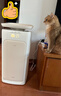 华为智选【国家补贴】鸿蒙智选IAM宠物空气净化器U7 Pro全自动吸毛神器除狗毛除异臭味吸过敏原宠物净化机 实拍图