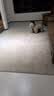 大江进口羊毛地毯客厅现代简约素色轻奢高级感沙发地毯200x300cm 实拍图