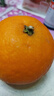 京鲜生 爱媛果冻橙 6斤 单果180g起生鲜水果桔子礼盒 实拍图