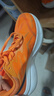 乐途（LOTTO）运动鞋女鞋秋季透气碳板跑鞋专业缓震竞速跑步鞋女1072橘红 36 实拍图