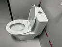 箭牌（ARROW）T50抽水马桶虹吸坐便器防臭座便双漩劲冲坐厕AEB12634L400坑距 实拍图